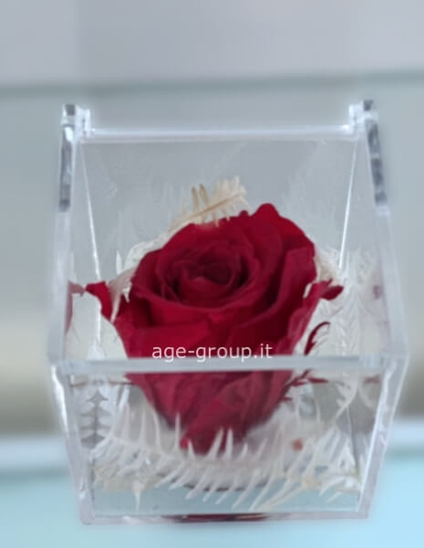 Cubo Rosa Stabilizzata