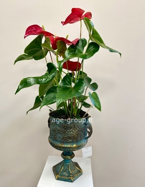 Anfora Ottone con Pianta 