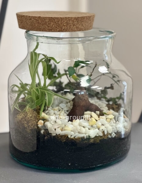 Terrario