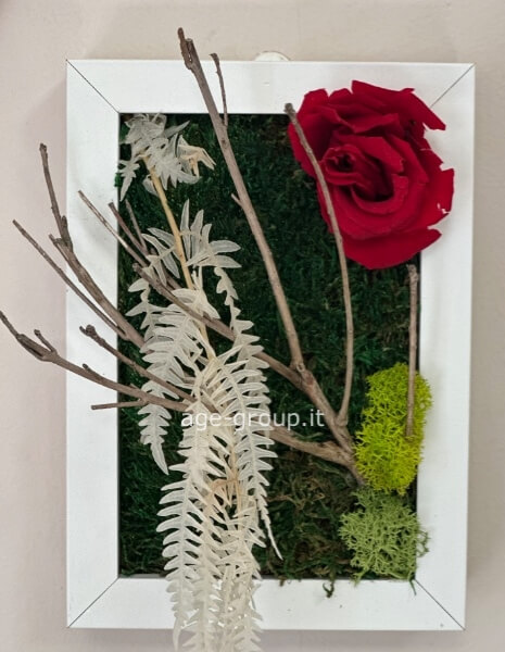 Quadro personalizzato stabilizzato