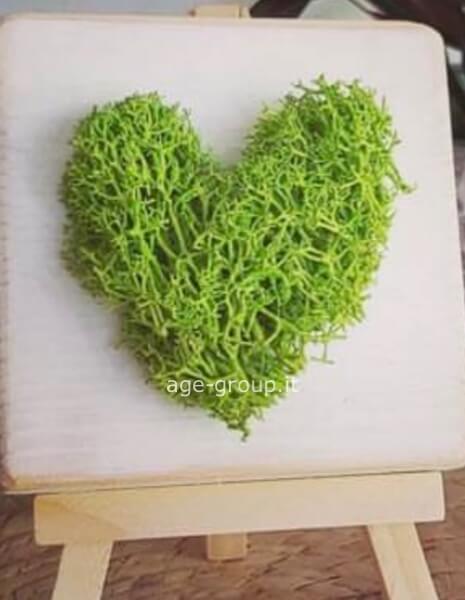 Quadretto con cuore stabilizzato