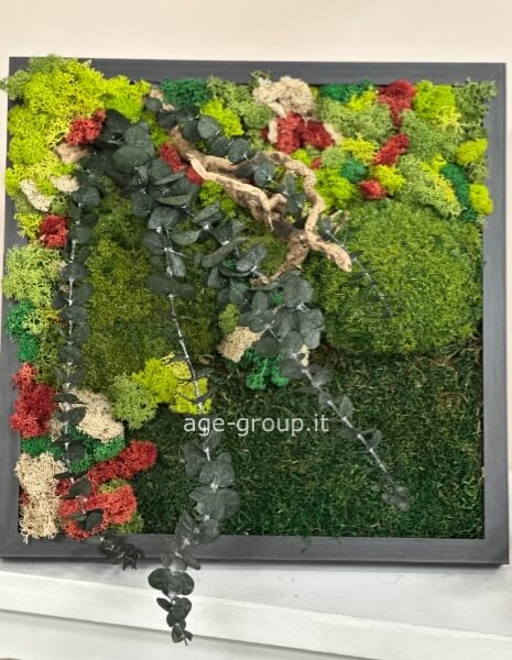 Quadro Stabilizzato 30x30