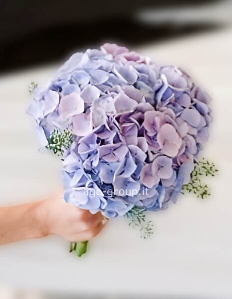 Bouquet di Ortensie