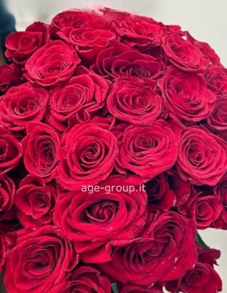 Bouquet di rose gigante
