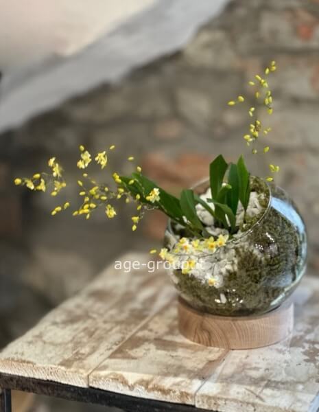 Mini ampolla con orchidee